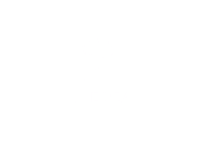 A2