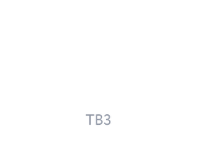 ТВ3