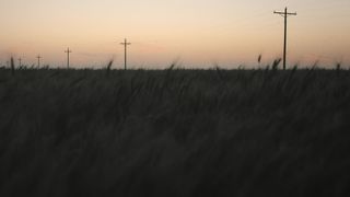 Происшествие в суде