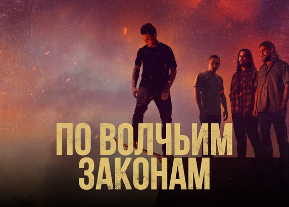 По волчьим законам