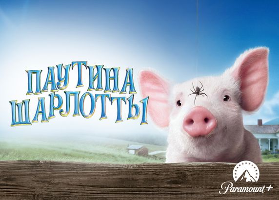 Паутина Шарлотты