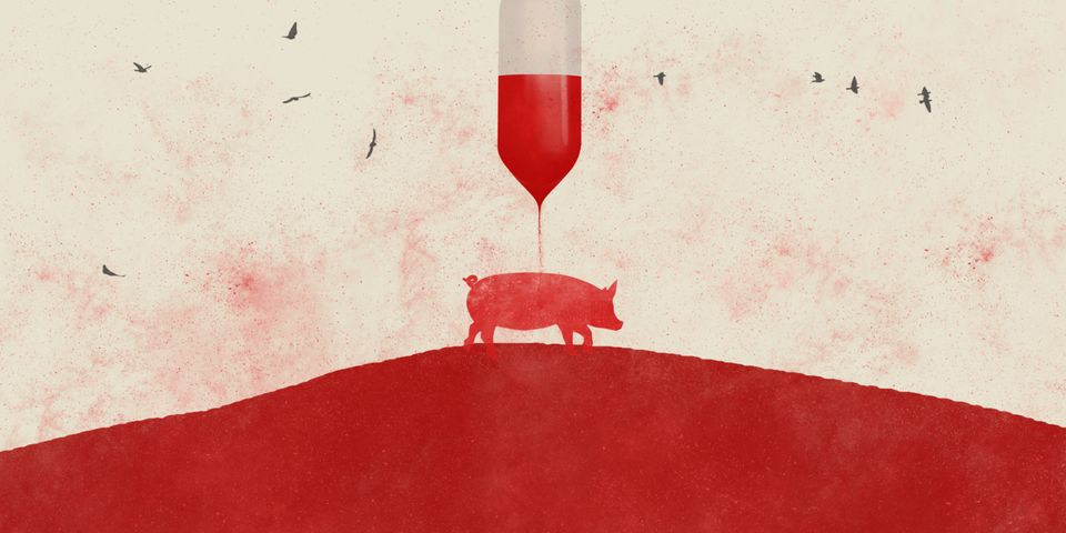 Конец медицины