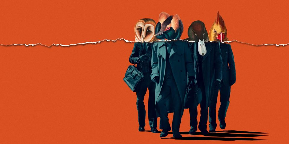 Американские животные