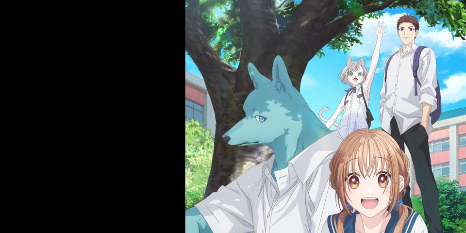 Любовь сквозь стены